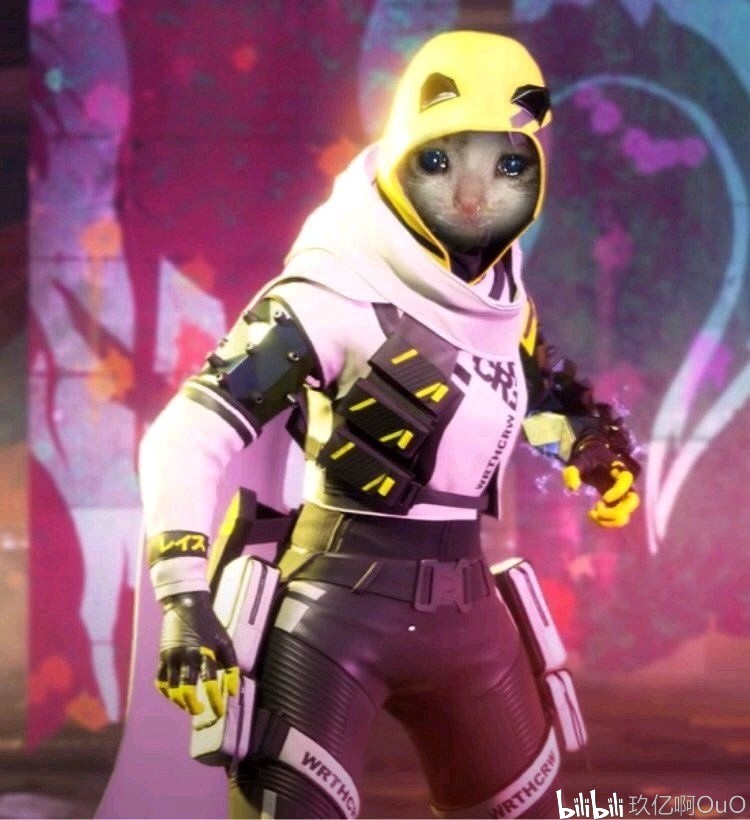 Ninjas in Pyjamas vs WBG赛前数据前瞻：Rookie数据基本碾压小虎