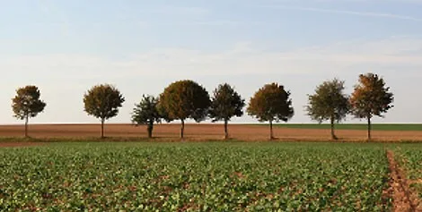 Harvest: June - July - PG模拟器